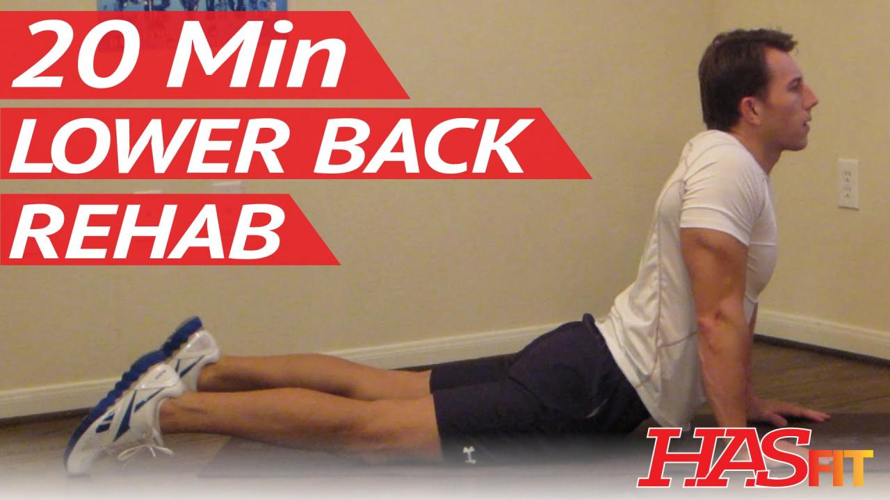 Lower back exercises at home