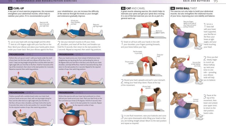 Pain exercises lower back relief enlarge click